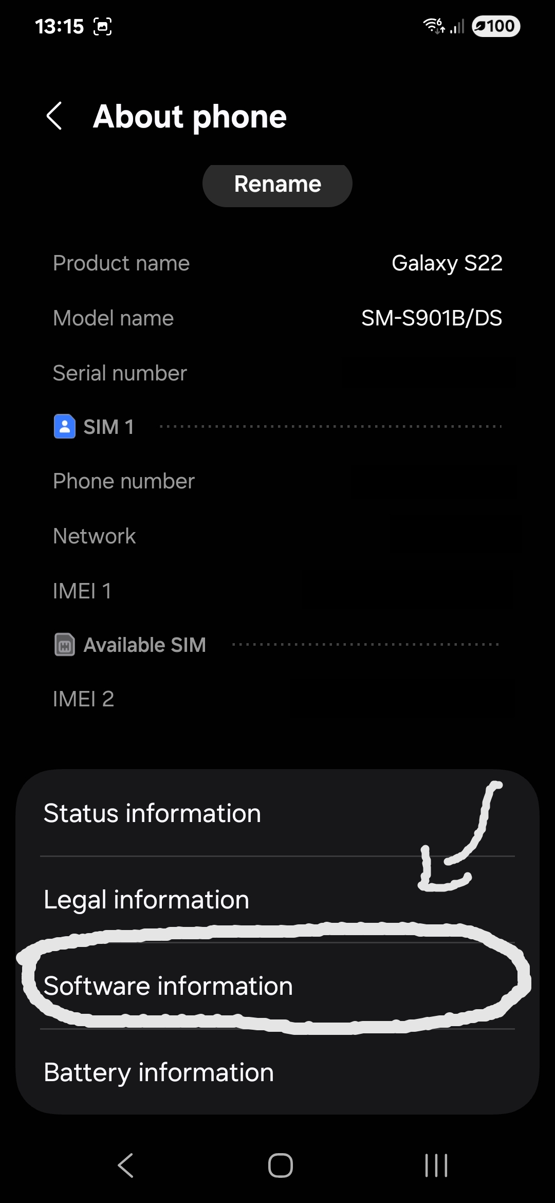 Setup Dev Options Screen 2